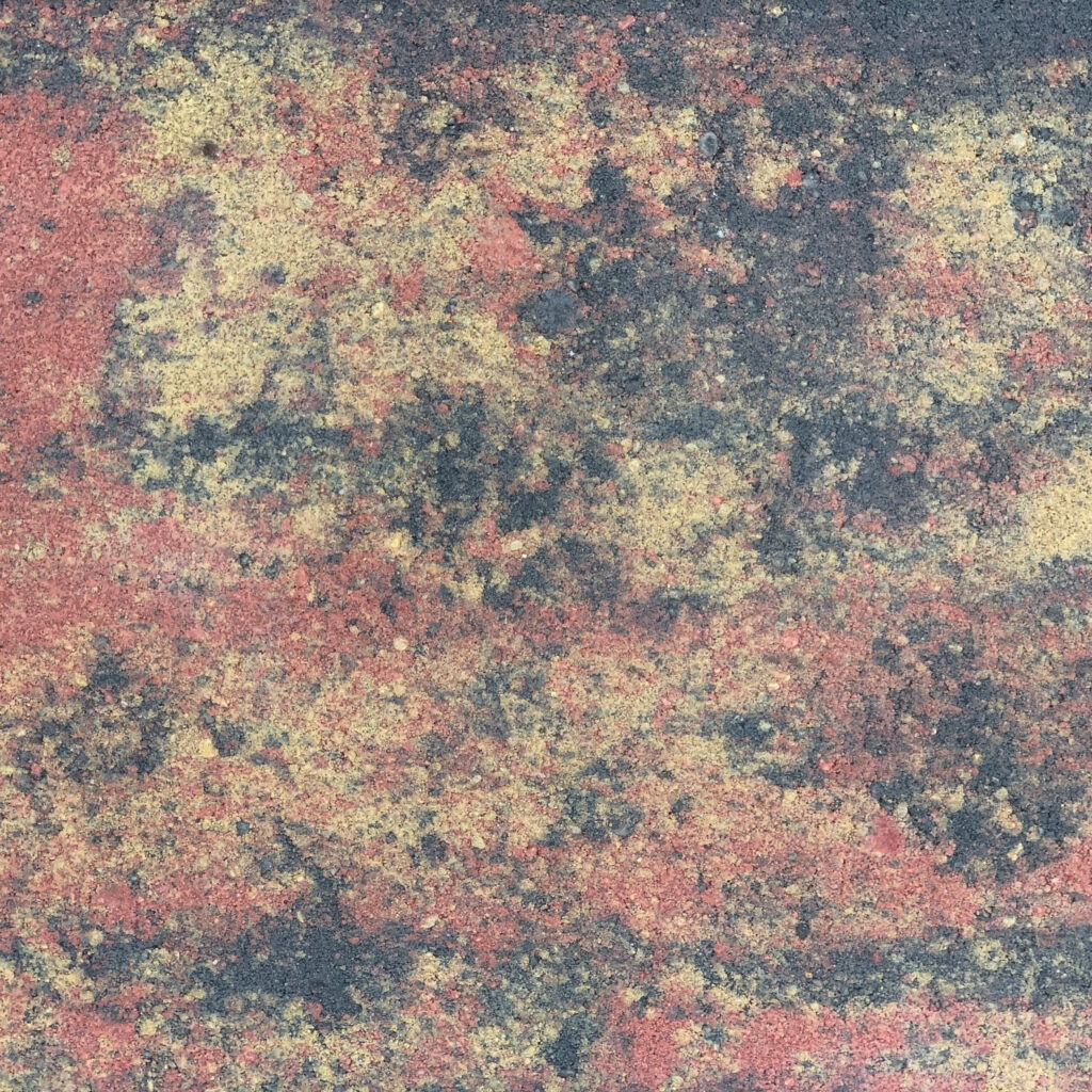 Amber scaled 1
