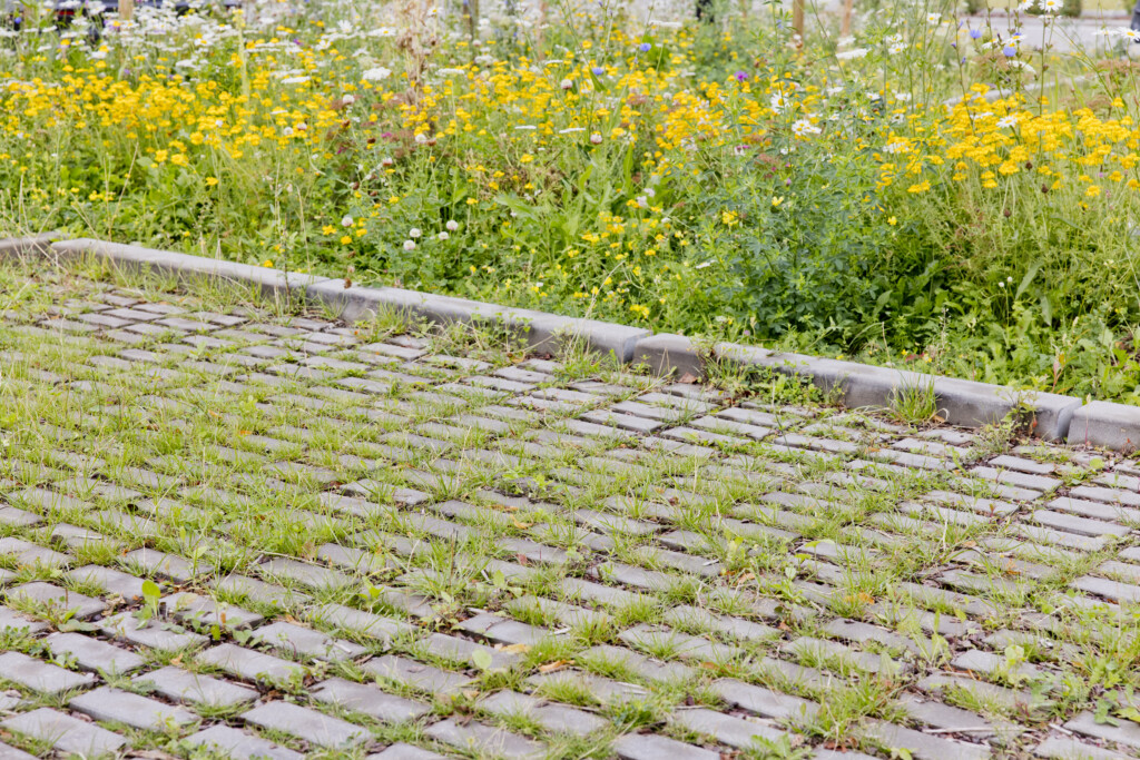 Kopli ofisų projektas