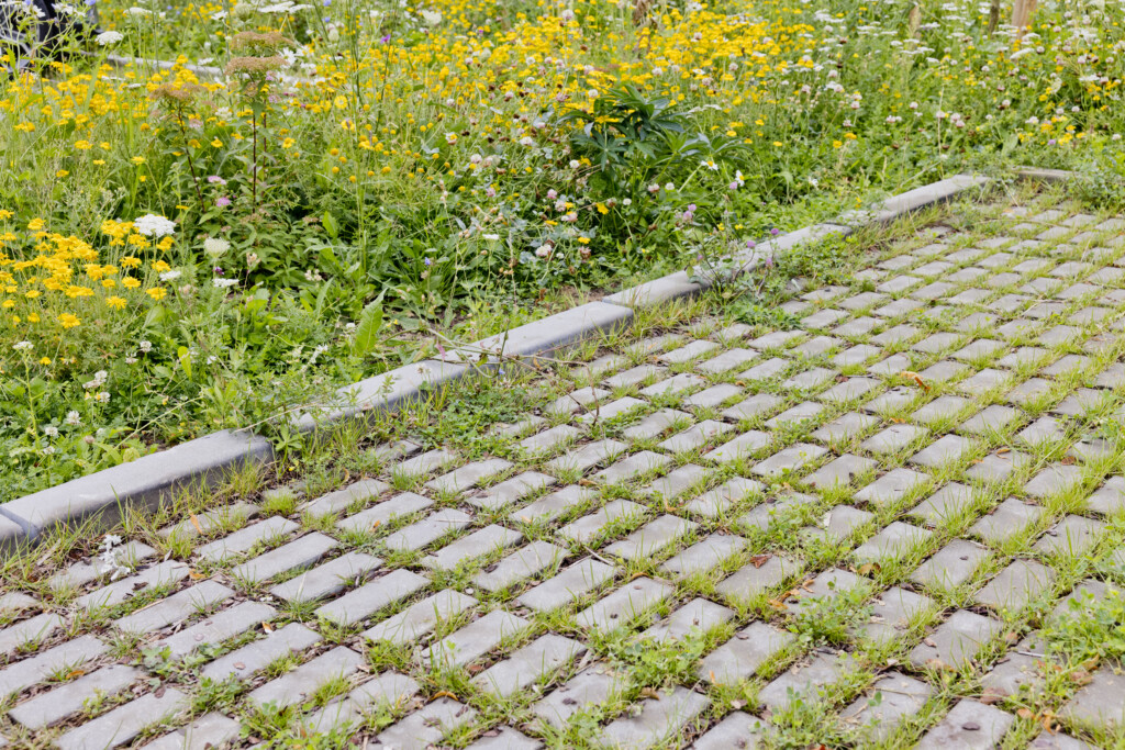 Kopli ofisų projektas