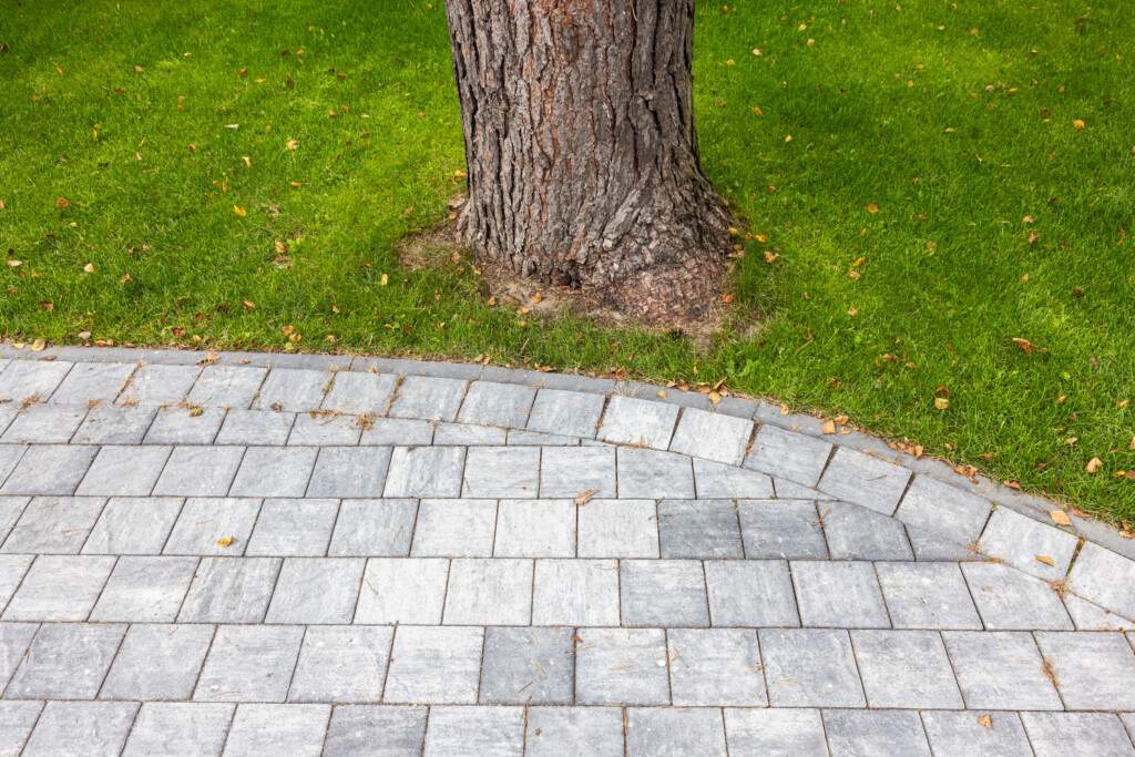 Nida Granit, Palanga