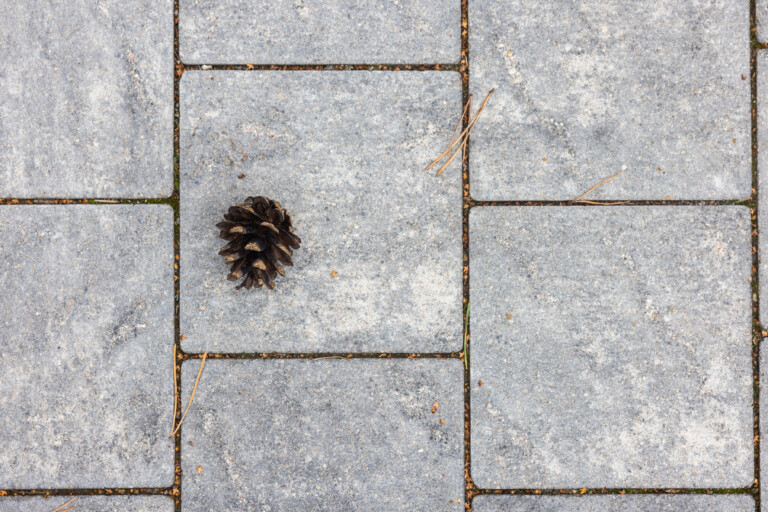 Nida Granit, Palanga