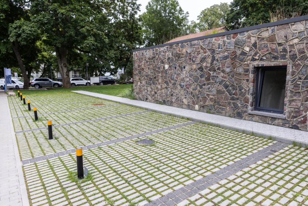 Juodrantė, Pilkopė