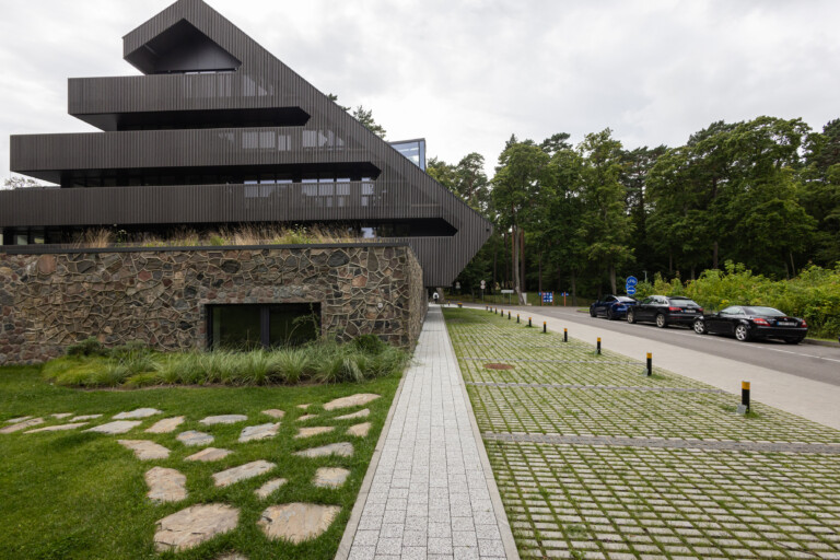 Juodrantė, Pilkopė