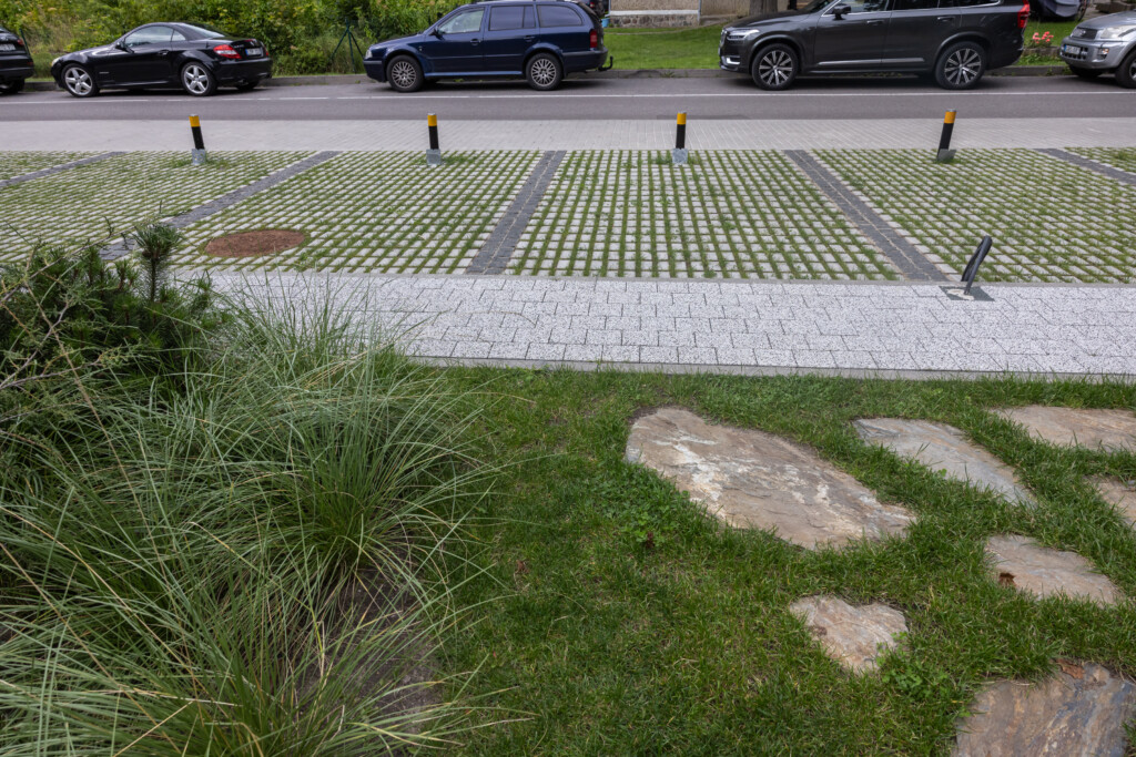 Juodrantė, Pilkopė