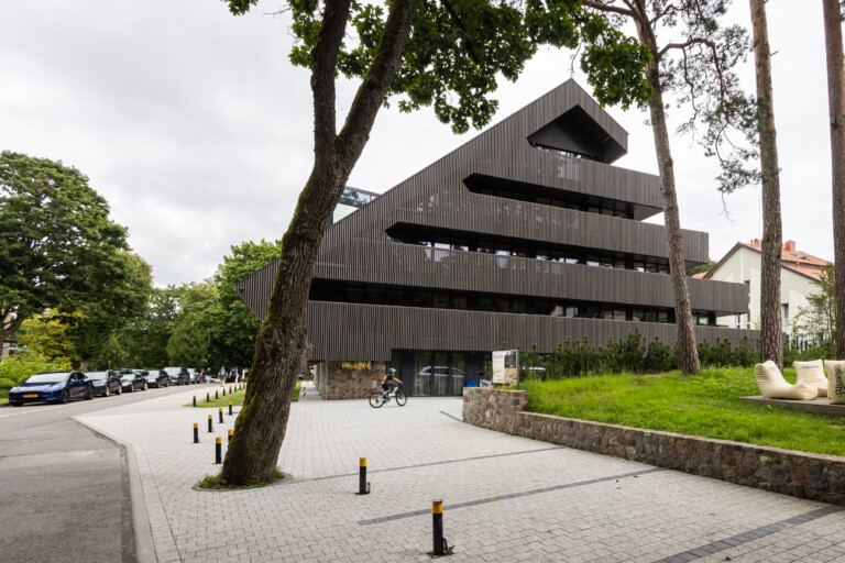 Juodrantė, Pilkopė